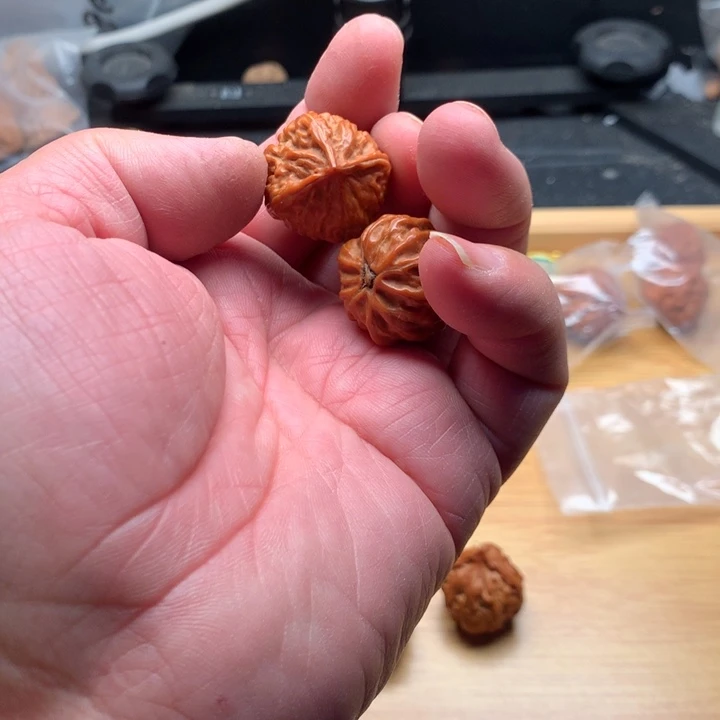 苏***霁吊坠桃核野生精品小核桃散籽