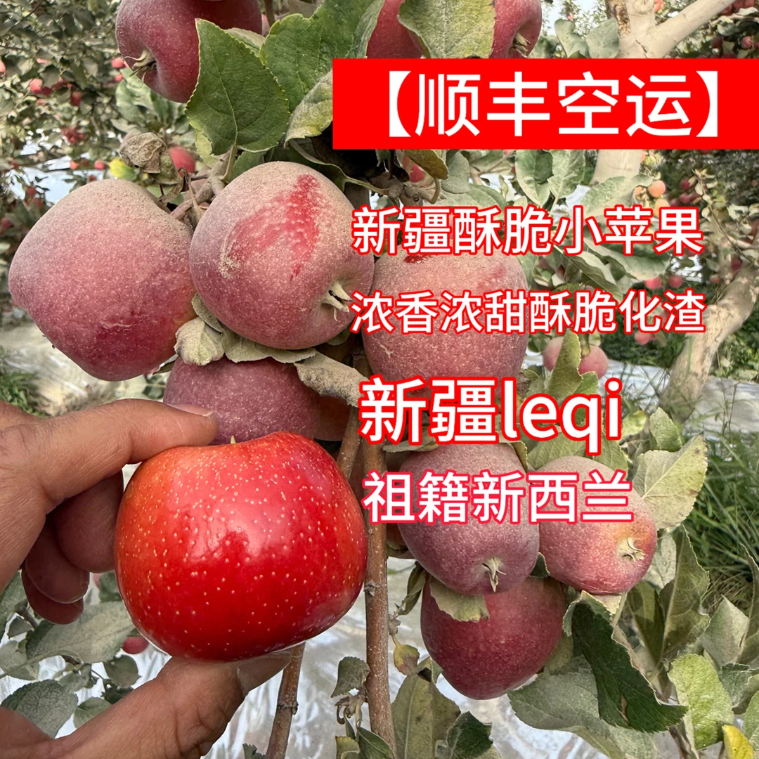 【顺丰空运】新疆Lq酥脆小苹果浓香脆甜祖籍新西兰火箭苹果
