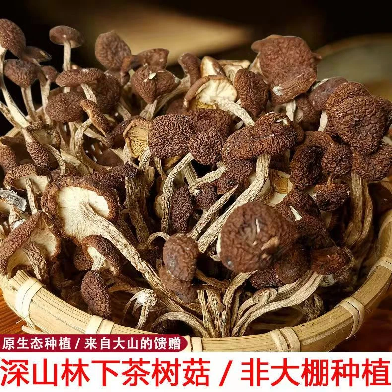 贵州原生态林下茶树菇干货无硫煲汤食材散装称重双11