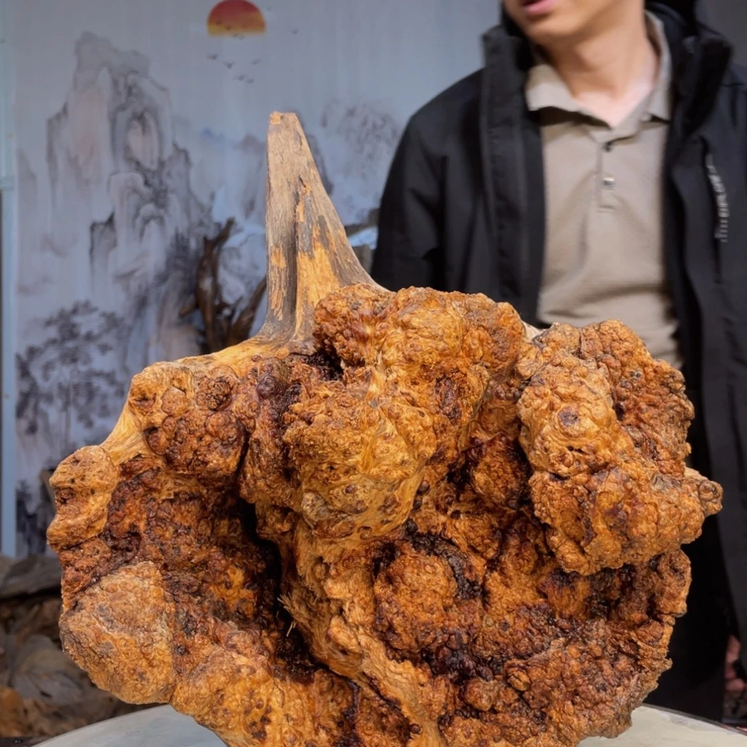 铭***铂木天然摆件 琥珀木3
