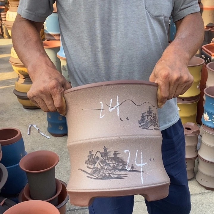 紫砂花盆盆栽花卉苗木种植