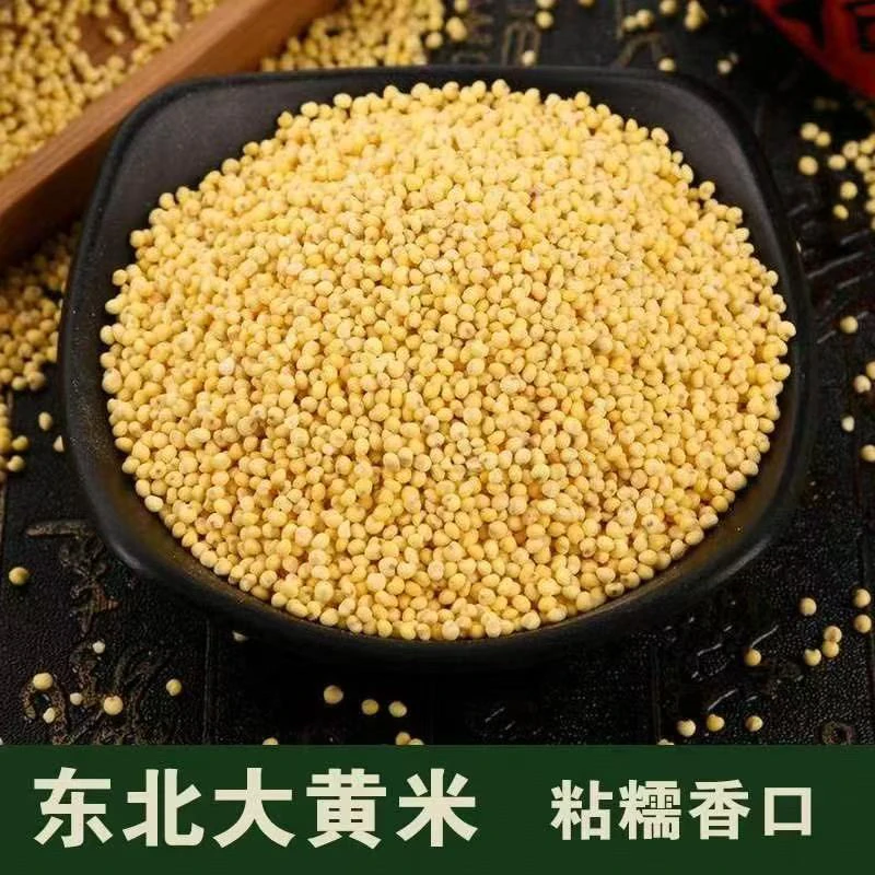 东北粘大黄米5斤包邮