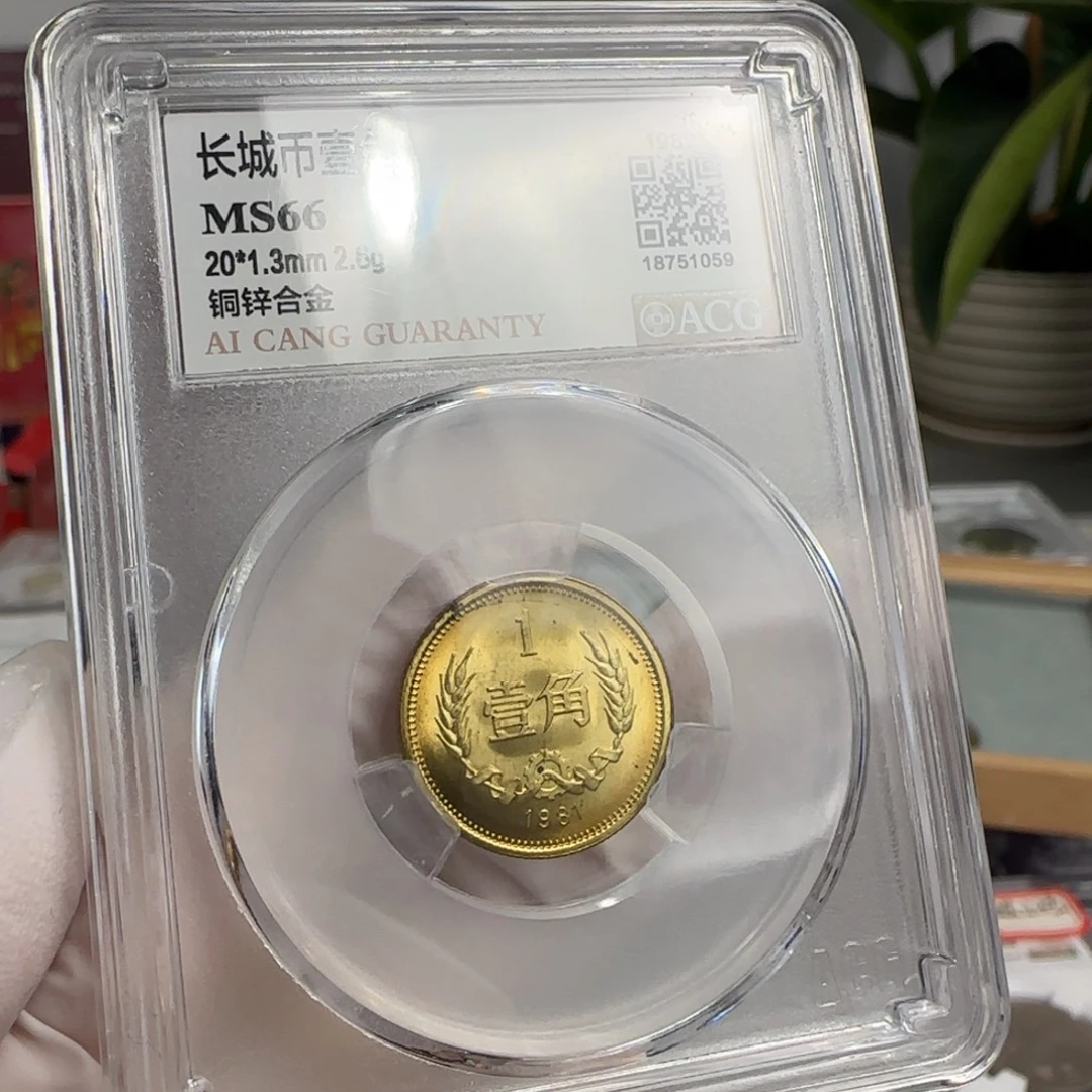 1981年1角，66分。。。。