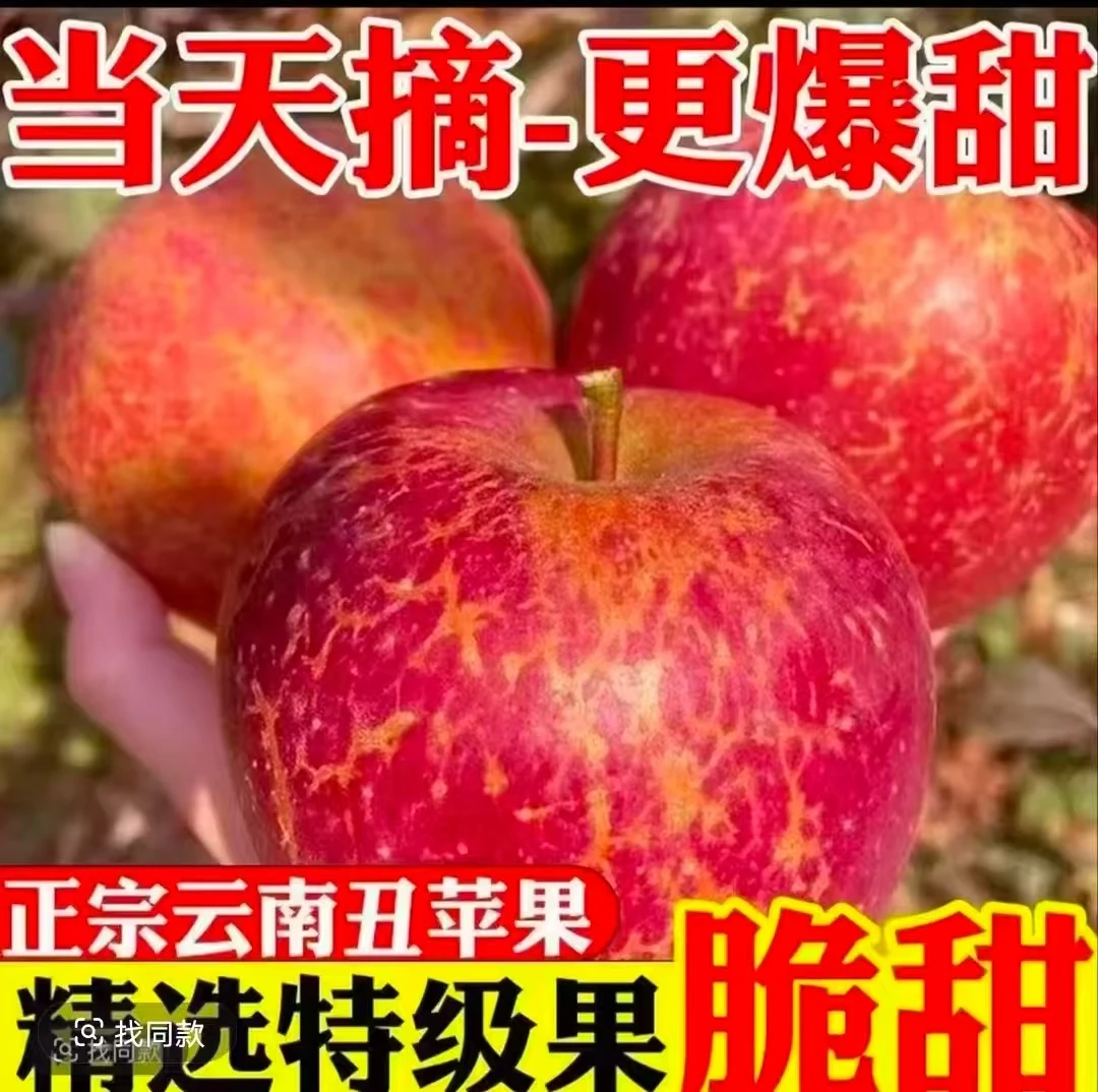云南昭通冰糖心丑苹果新鲜现摘脆甜多汁营养丰富水果