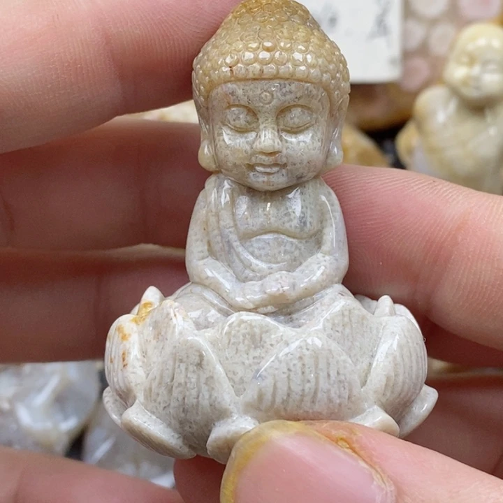 颈饰未镶嵌硅化珊瑚（珊瑚玉）