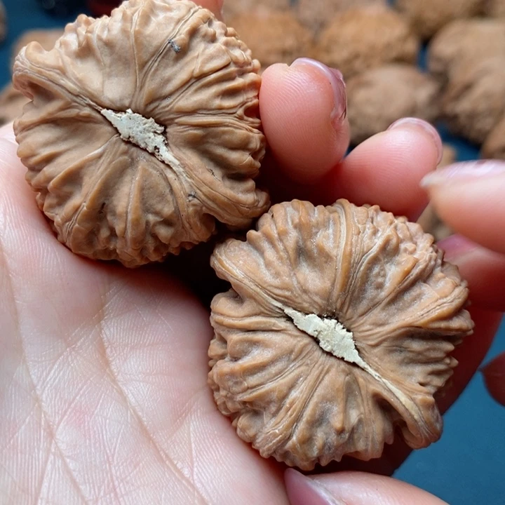 文玩核桃把件晚****~40白狮子