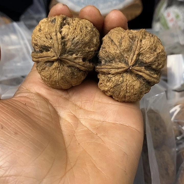 核桃云南铁核桃基地63