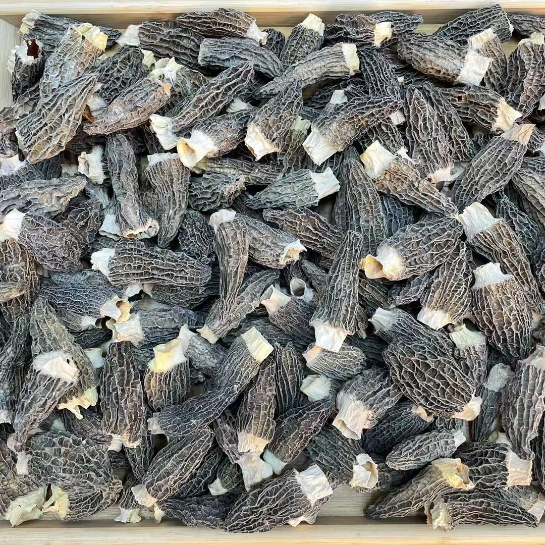 ［大个羊肚菌］味道很香品质好剪脚轻称足干