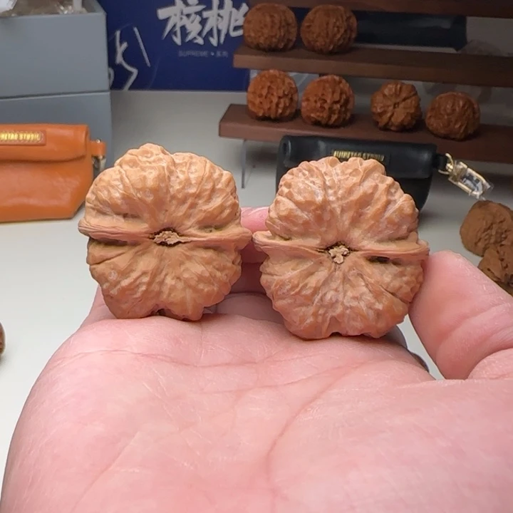 L39-42-34肌肉蛙A17号