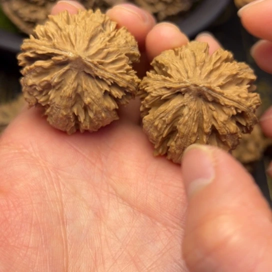 文玩核桃把件秦岭核桃15