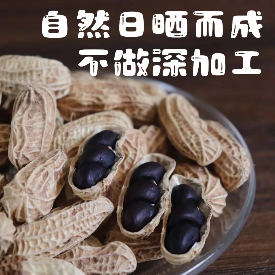 正宗云南普洱特产带壳黑花生小粒老品种晒干黑花生农产品