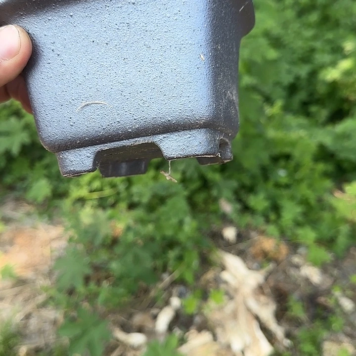 这样做也能有好处呀打游戏