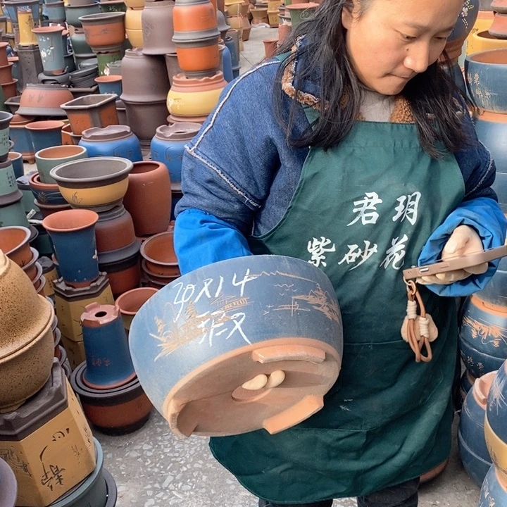 紫砂花盆盆栽花卉苗木种植