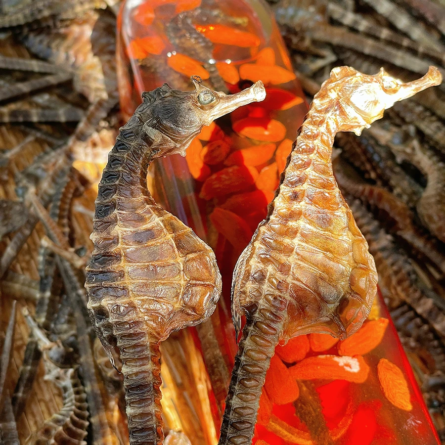 【大】海马 海产干货滋补汤料 | 武焱