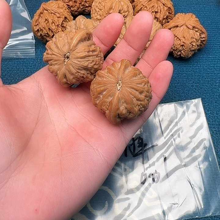 棕***胖文玩核桃吊坠哈哈哈哈哈哈哈哈