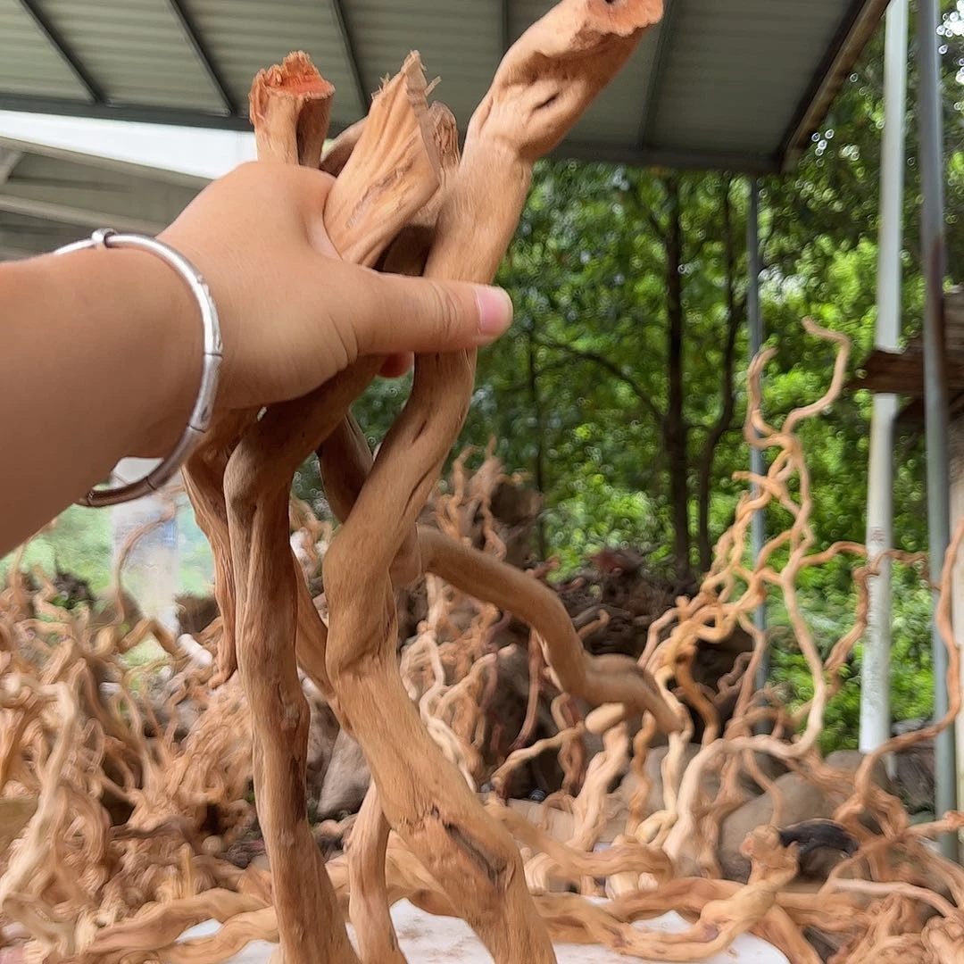 窗***花香榧木我是一个12234