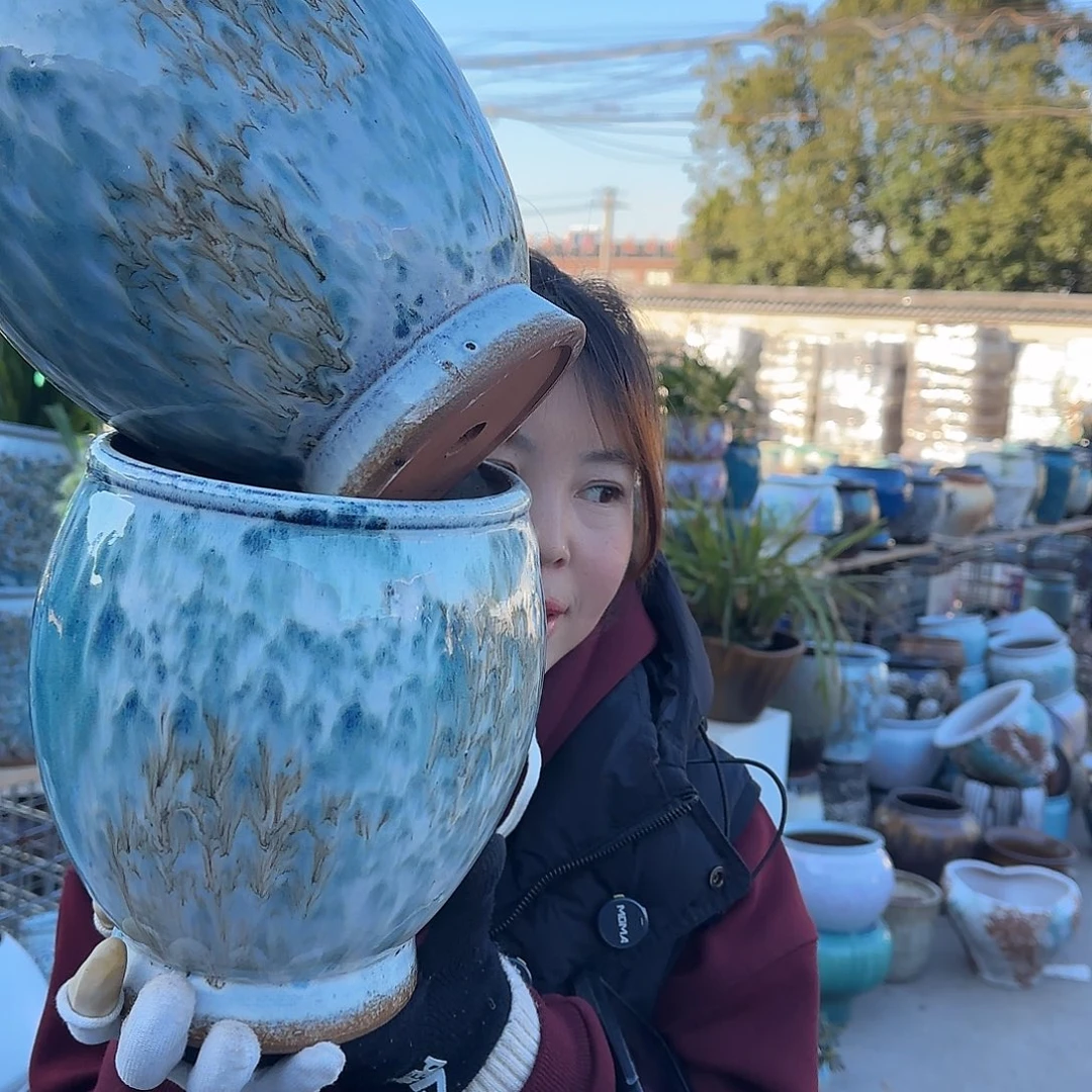 王嫂花盆1226-111高22口16