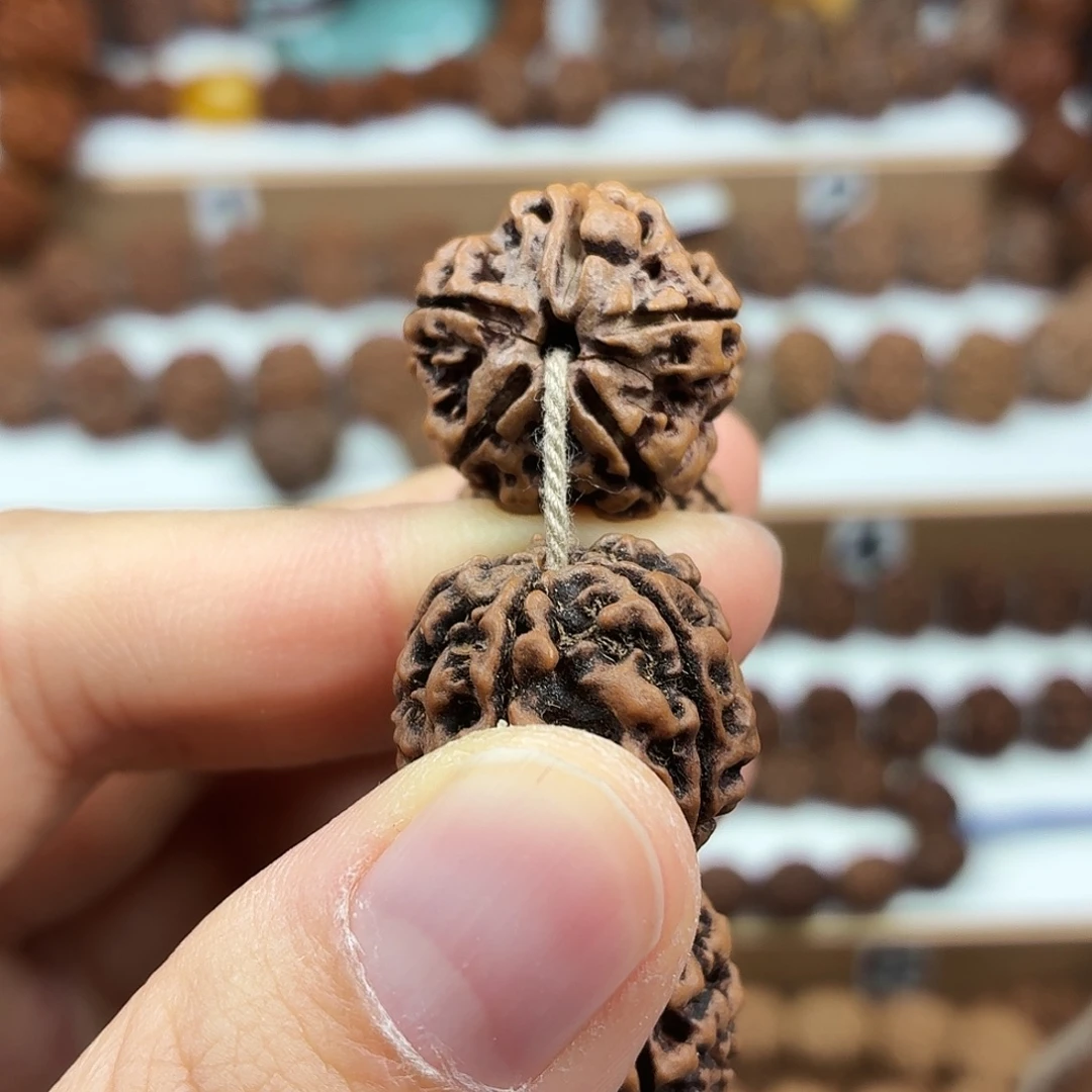手串金刚菩提精品梅花蜂窝大黄皮