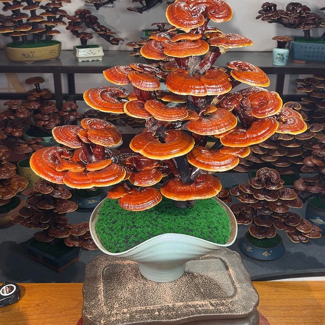 无花朵万事如意88888888888888888