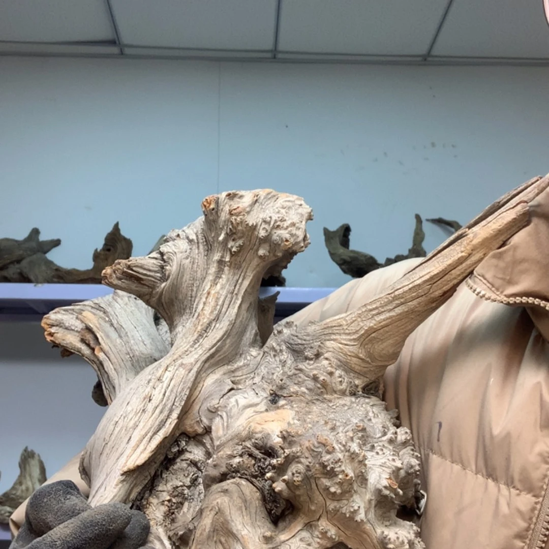 【闪购商品】木腾*