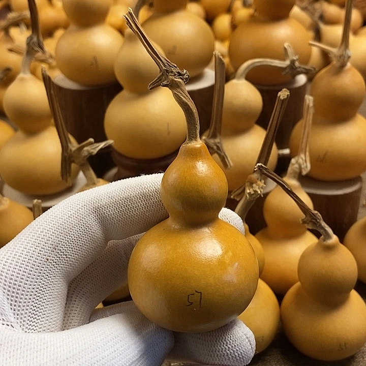 文玩葫芦 完美主义者 慎拍57