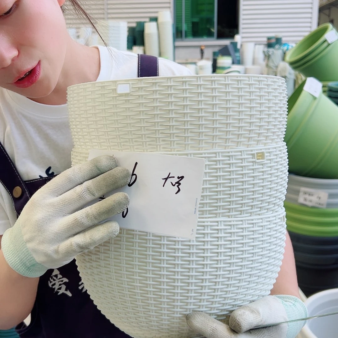 瑕疵吊兰大号白色4套