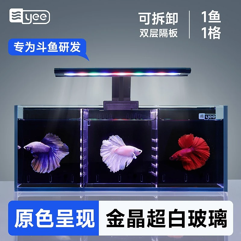 yee超白斗鱼缸玻璃背滤多格隔离带过滤客厅小型生态斗鱼双缸排缸