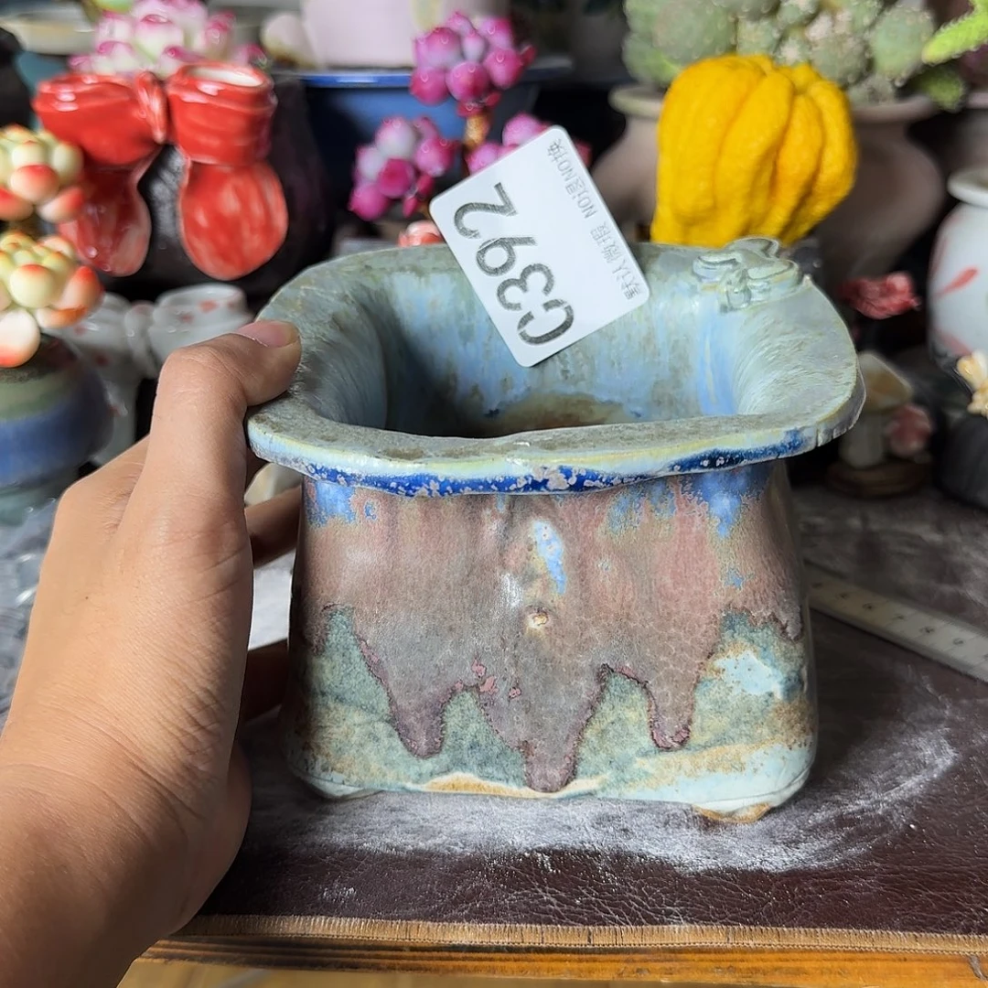 重庆小燕子欢迎大家392