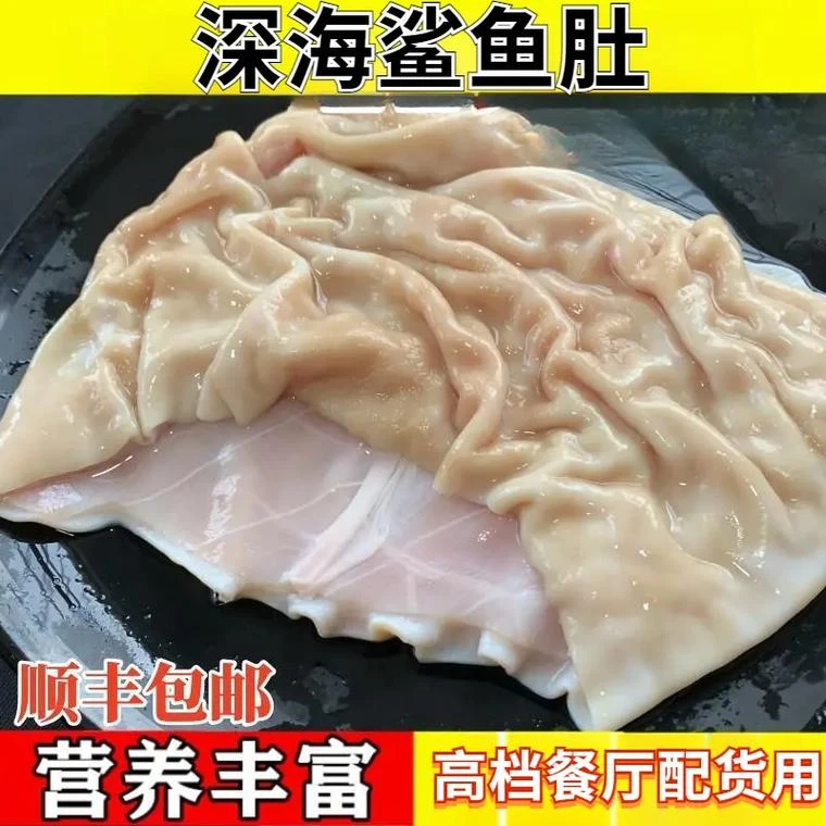 【深海鲨鱼肚】营养丰富口感脆甜 新鲜寄顺丰