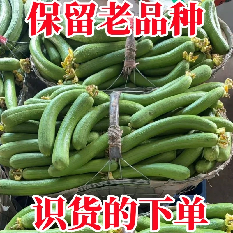 新鲜丝瓜奶油丝瓜短棒丝瓜肉丝瓜湖北宜昌农家自种新鲜蔬菜1-9斤
