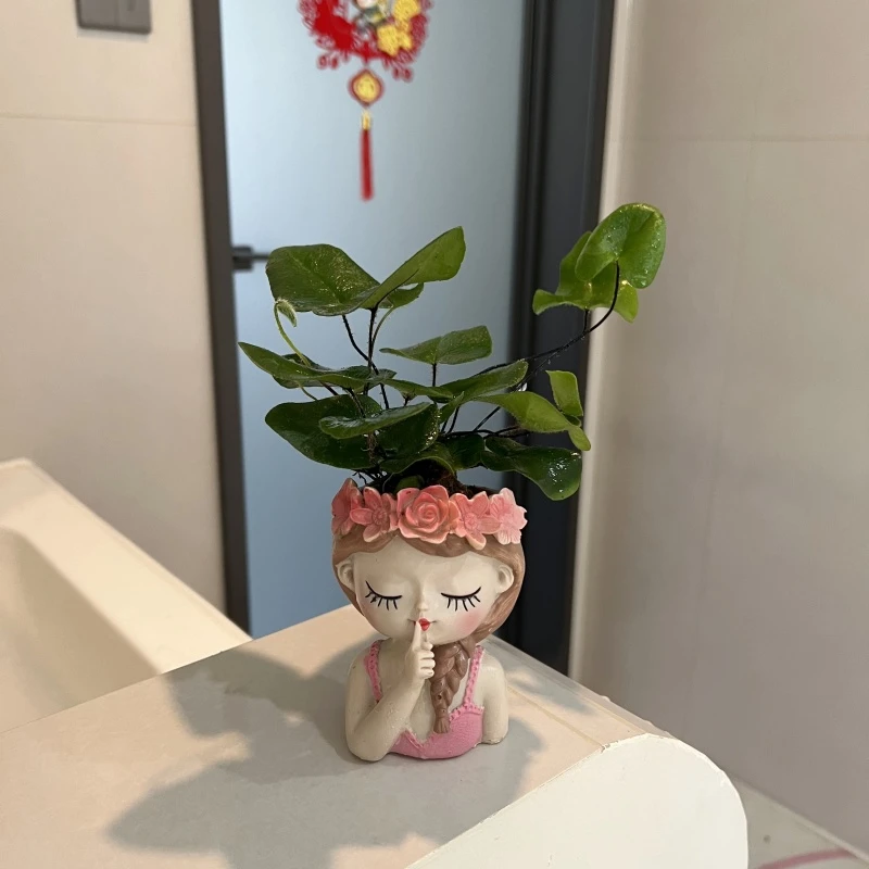 【喜阴】心愿蕨小盆栽ins风办公室桌面绿植耐阴四季懒人好养活植物