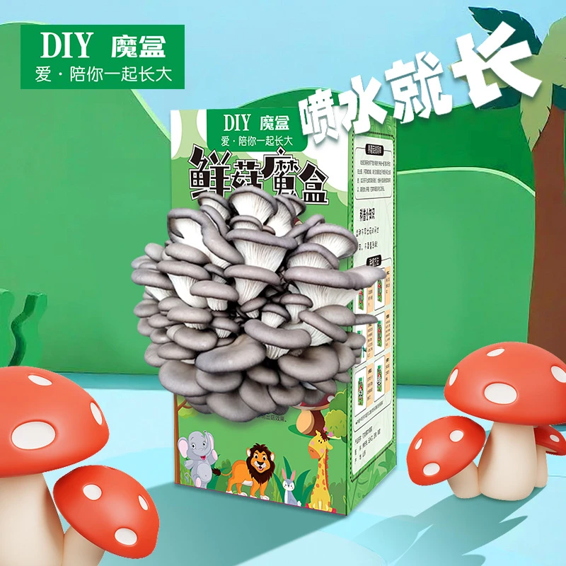 蘑菇种植菌包平菇蘑菇盒家庭室内种植蘑菇科学小实验益智玩具hf