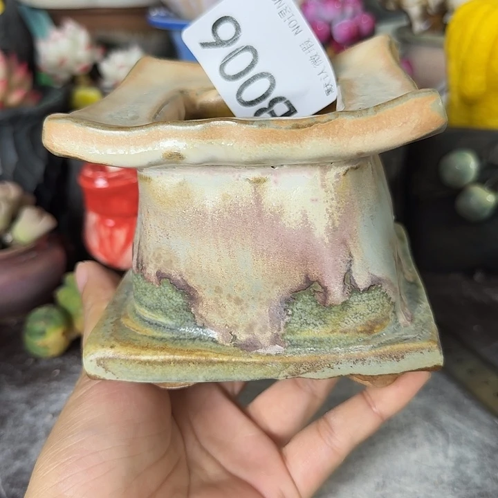 重庆小燕子欢迎大家006