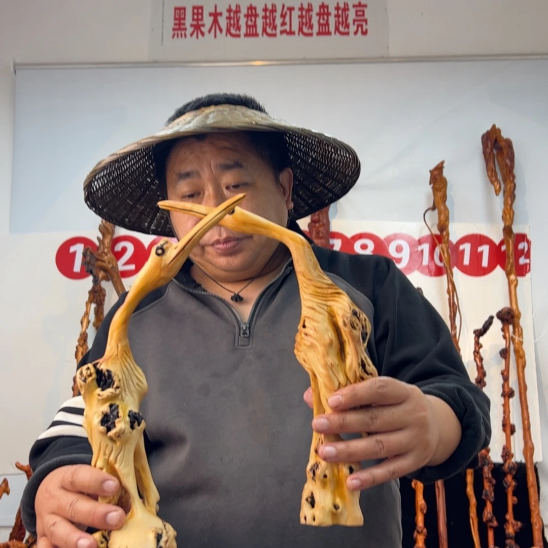 卫***笔黑果木其他黑果木262