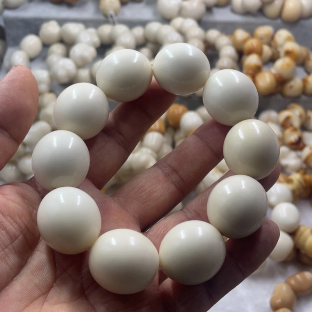 吊坠菩提根/象牙果全品象牙果鸽子蛋手串卡25