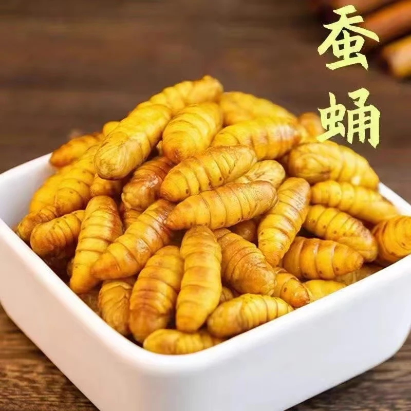蚕蛹鲜活速冻金丝蚕蛹新鲜山东特产高蛋白蚕蛹特级原味蚕蛹优质蛹