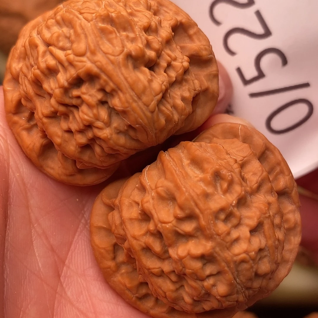 文玩核桃把件40白狮子