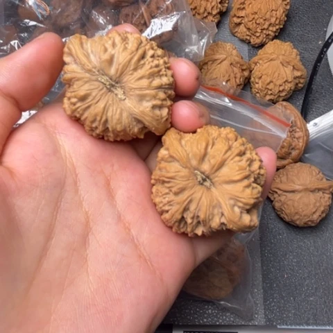 大***鹰文玩核桃把件绣球