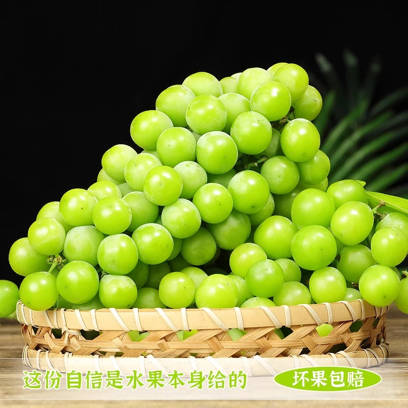 正宗阳光玫瑰葡萄无籽青提 新鲜水果 京东包邮现发
