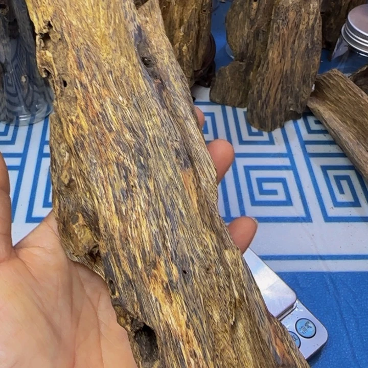 木绿奇陆河虫漏163克