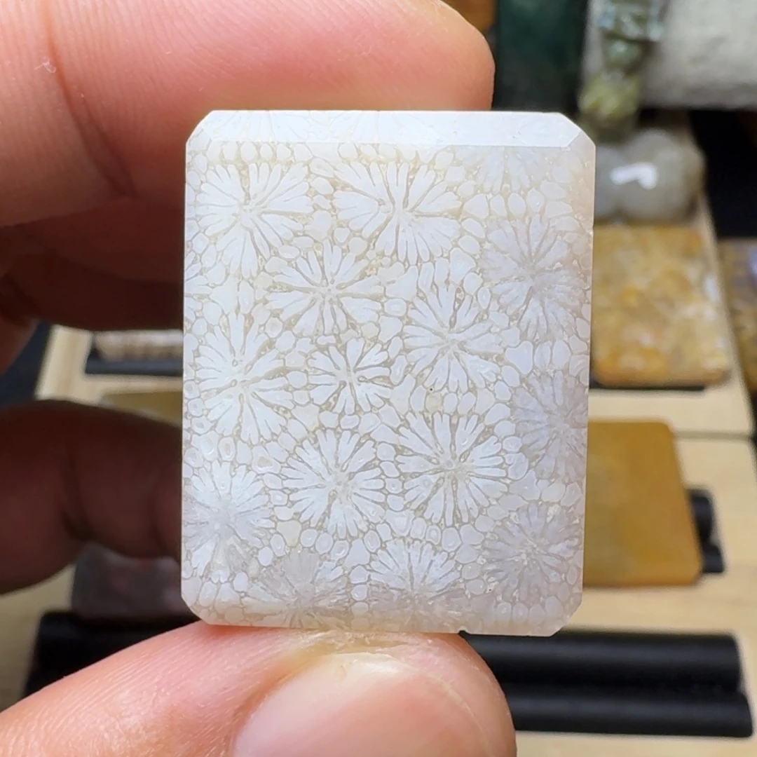 硅化玉未镶嵌纯天然色有机玉石包真色