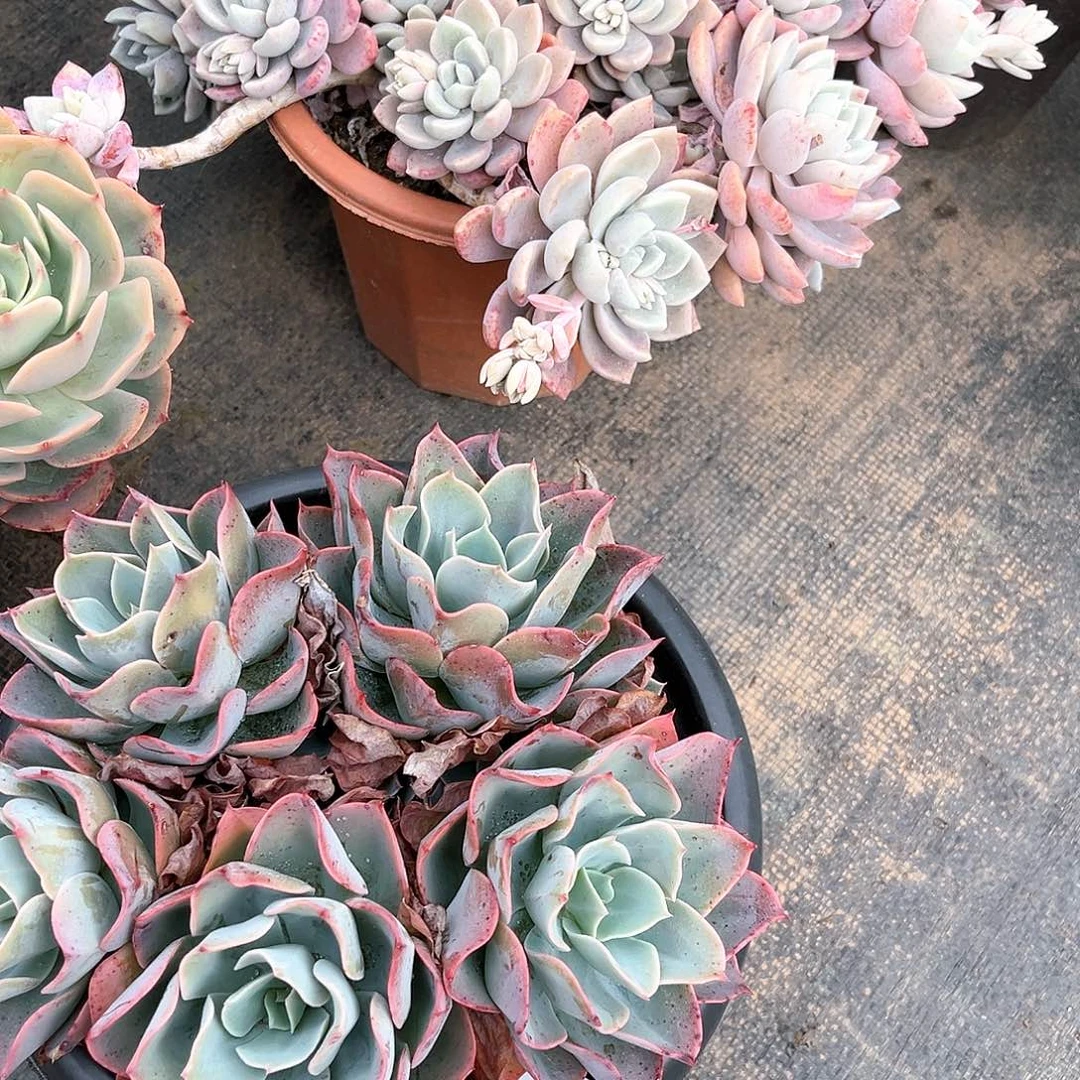 黙*南宫群生小80034