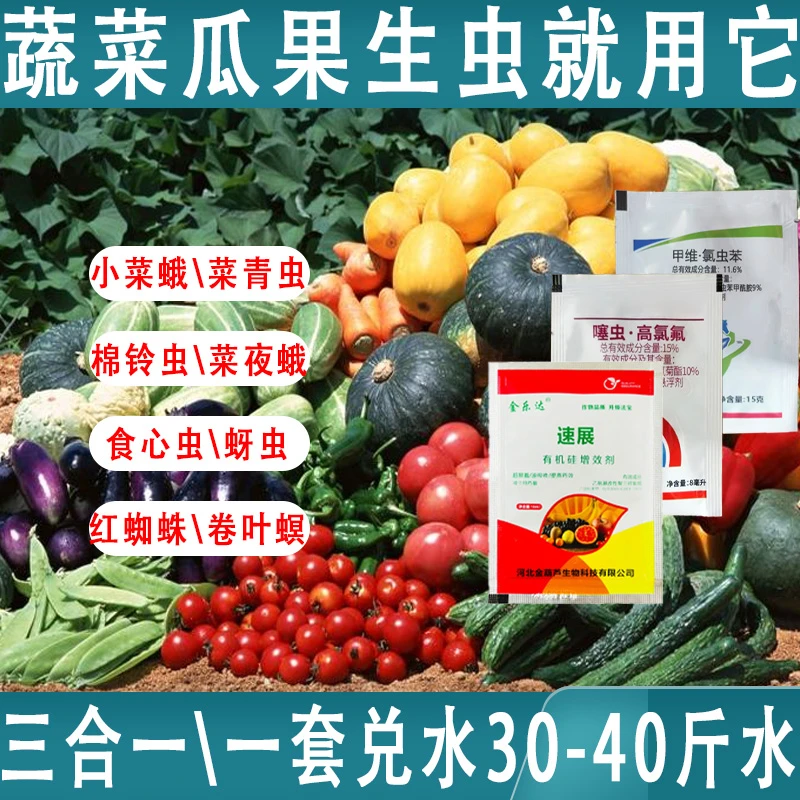 蔬菜瓜果家庭园艺钻心蚜虫蓟马稻飞虱菜青虫杀虫剂