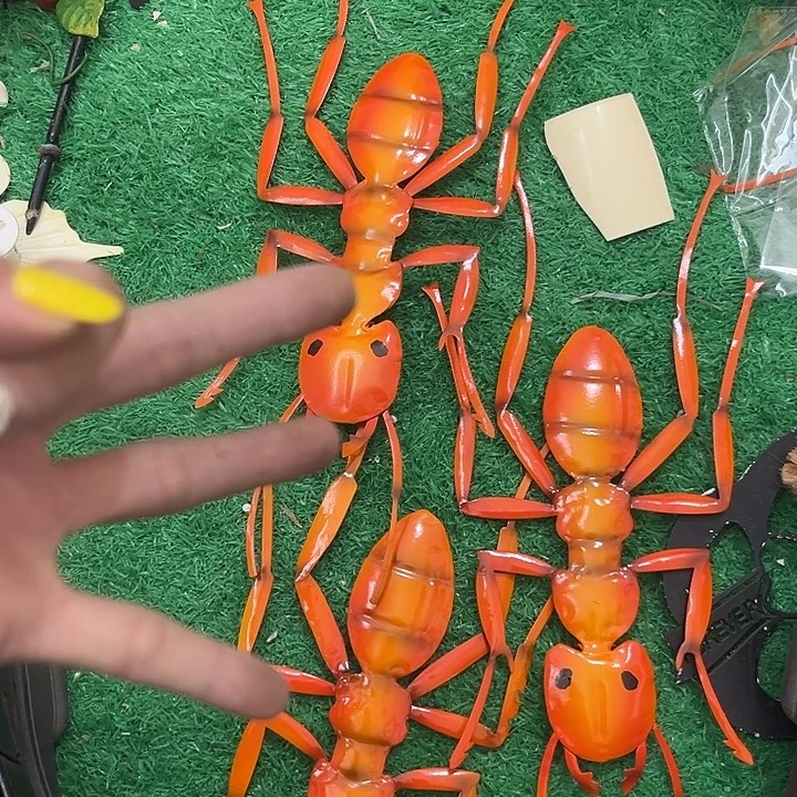 炸炸炸炸炸炸炸炸炸炸