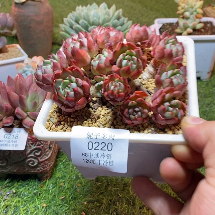 0220啊啊啊啊啊啊啊啊啊