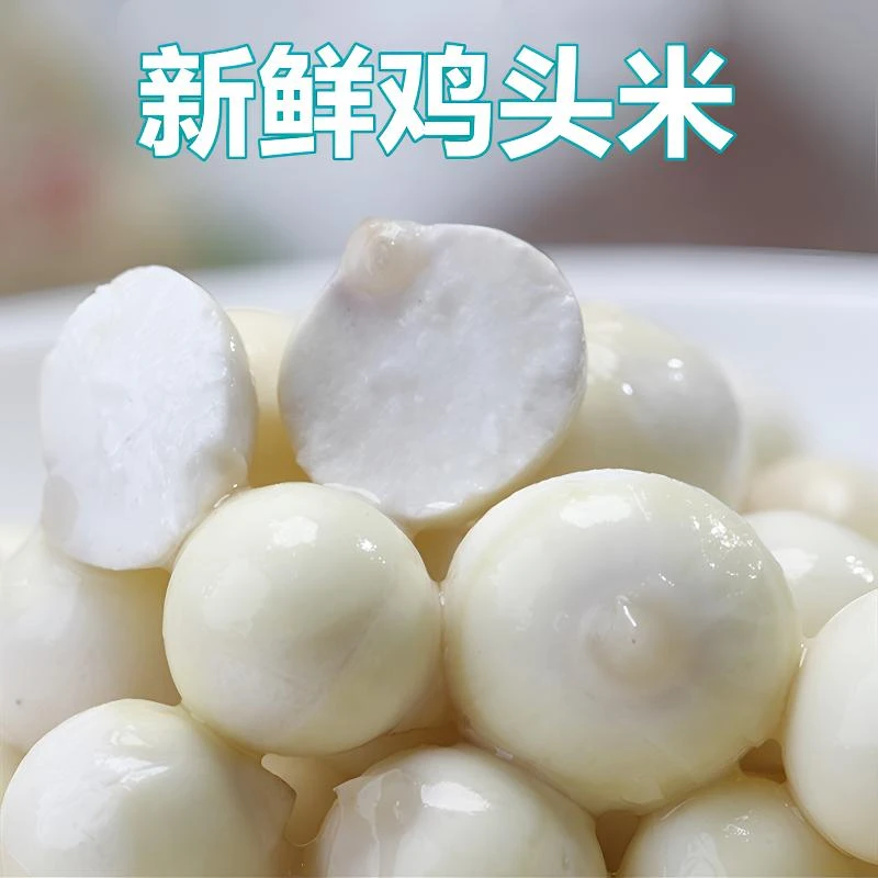 【当天采摘】新鲜芡实剥鸡头米大颗粒去皮去壳Q弹软糯清香冷链发货