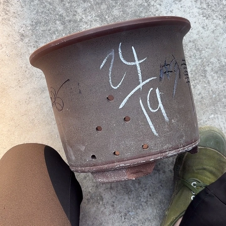 紫砂花瓶紫砂的味道很