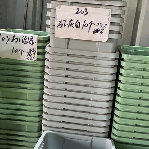 树脂编号203无托10个