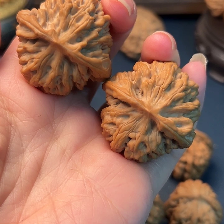 欧***饭木桃的叶是最棒也