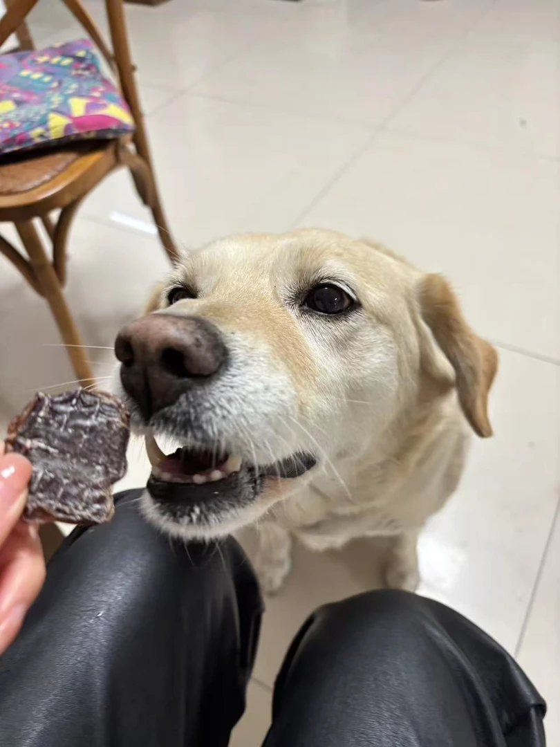 香烘鸭心片纯手工零添加狗狗零食训练奖励